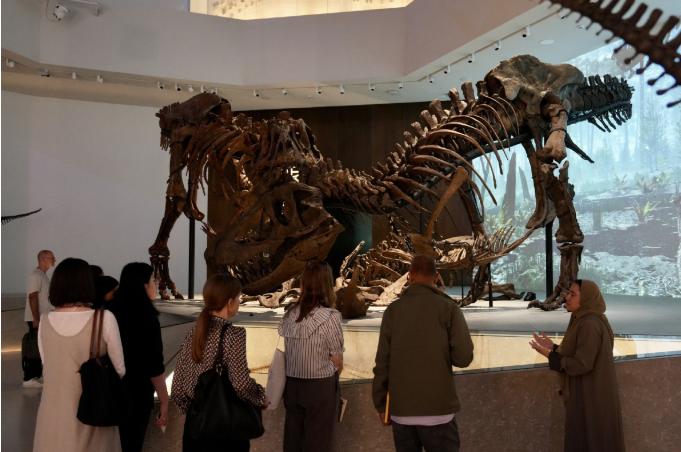 Fossils reveal UAE’s lush grasslands, giant rivers from millions of years ago